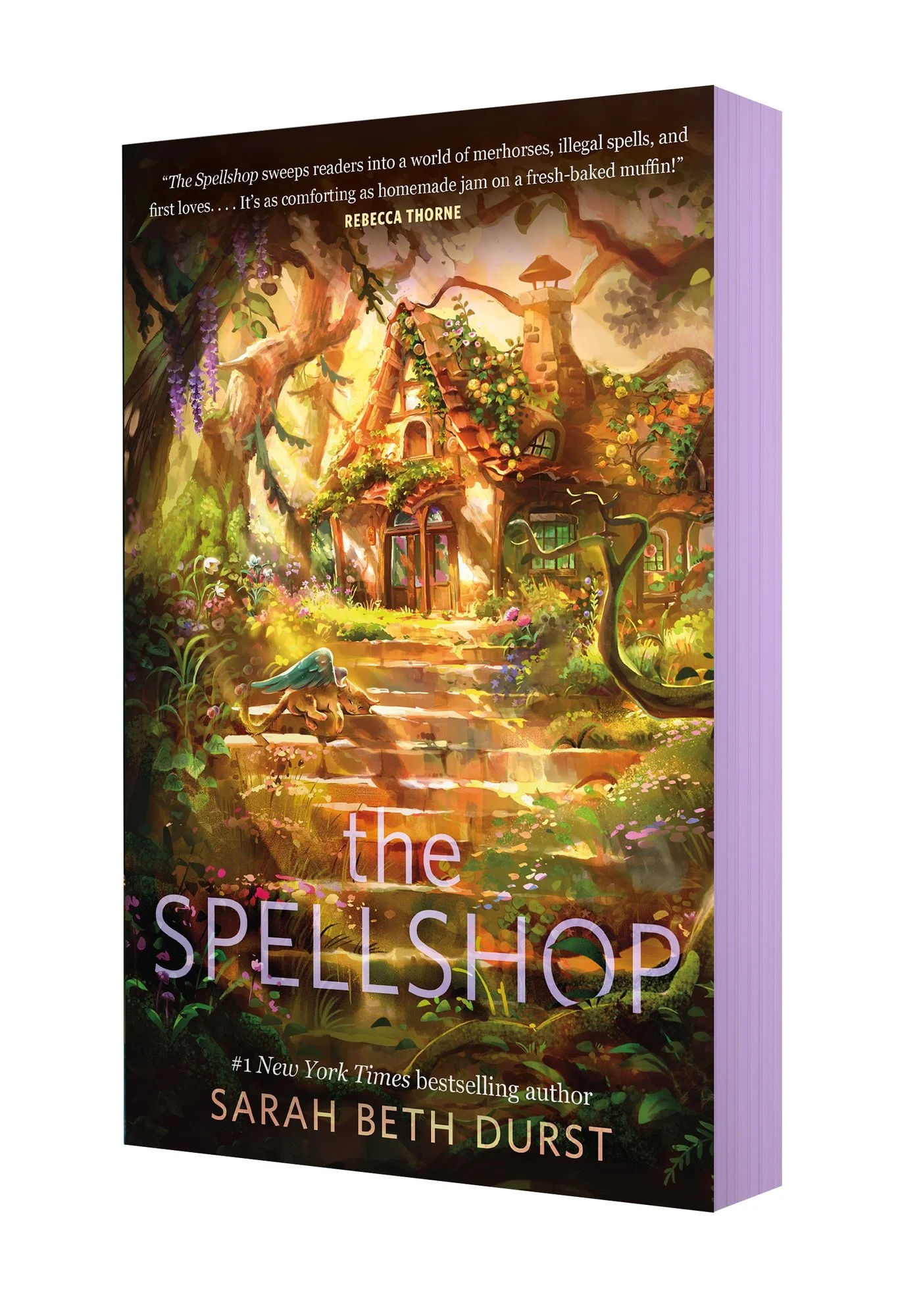 The Spellshop book cover